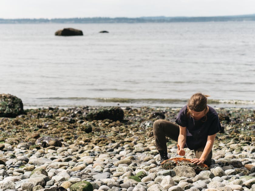 Heidi Gustafson foraging for ochre on a rocky shore