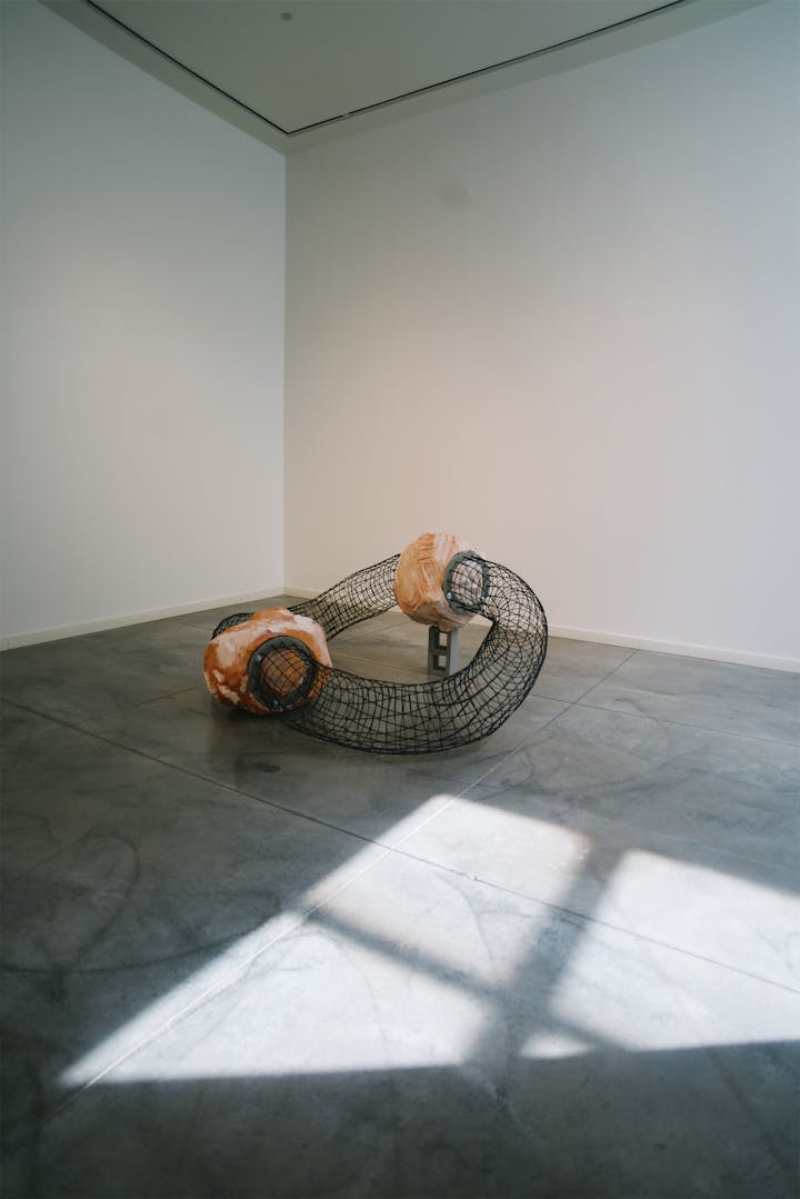Large art sculpture with two boulders connected by woven tubes