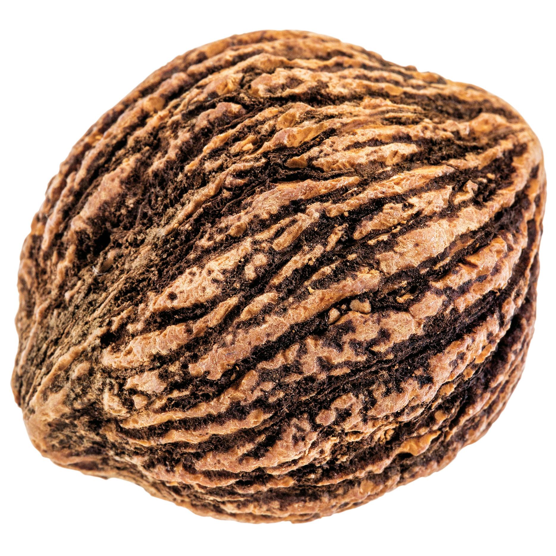 A black walnut