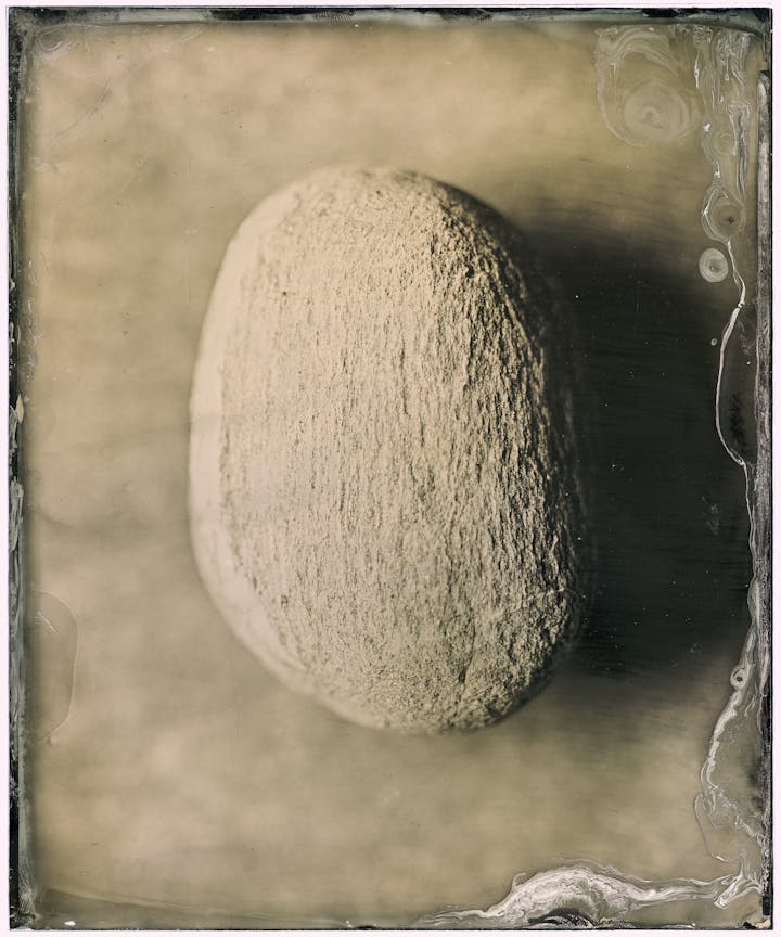 Collodion wet-plate photograph of a porous egg-shaped rock