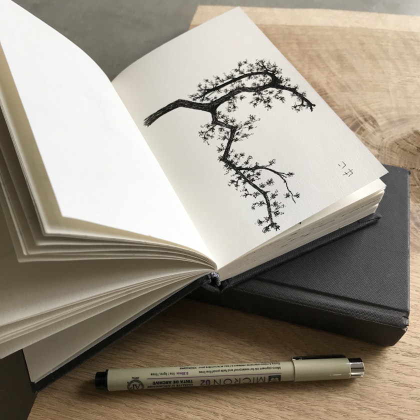open sketchbook with tree drawing beside Sakura Pigma Micron pen