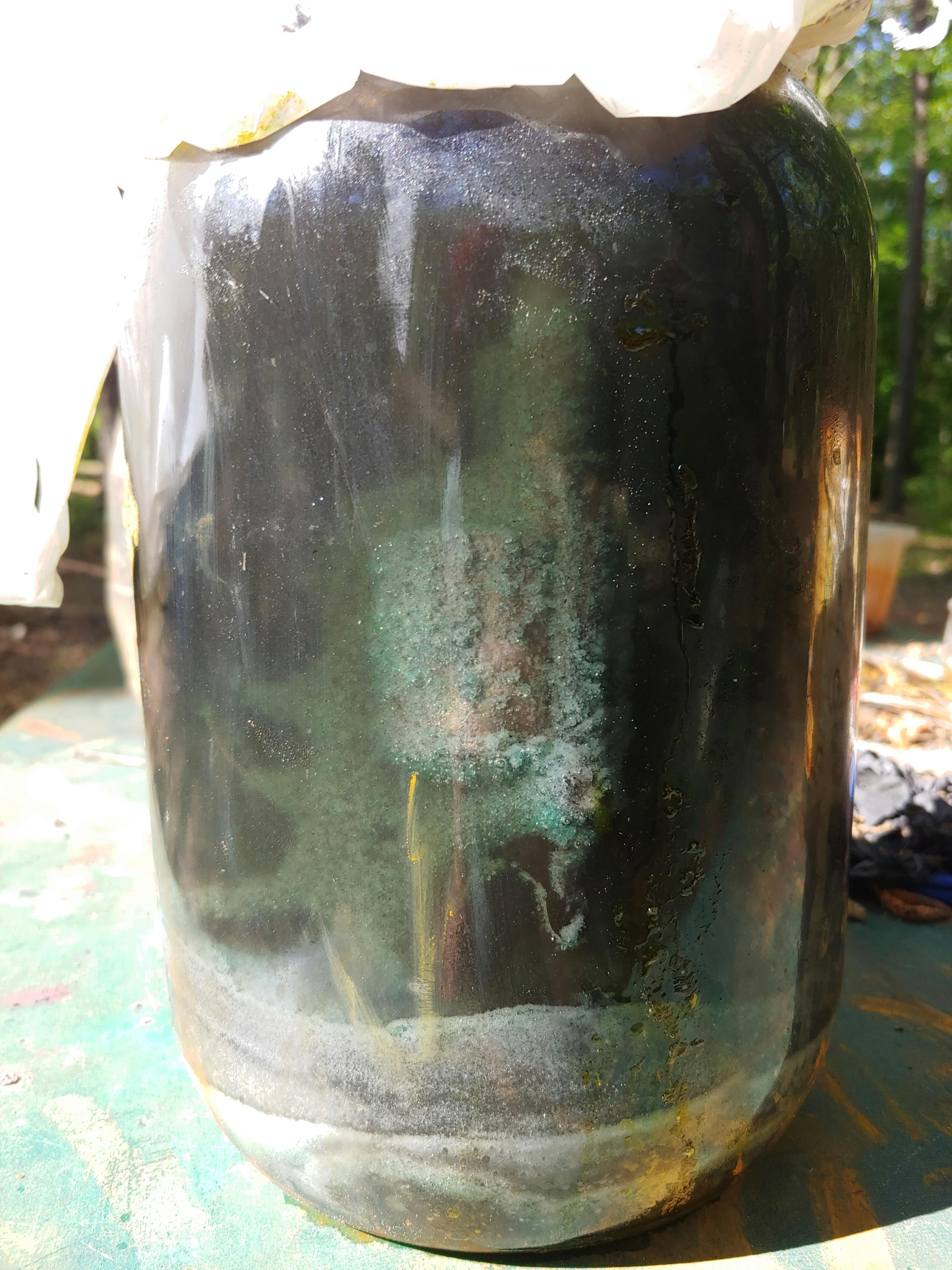large glass jar with handgun submerged in murky liquid