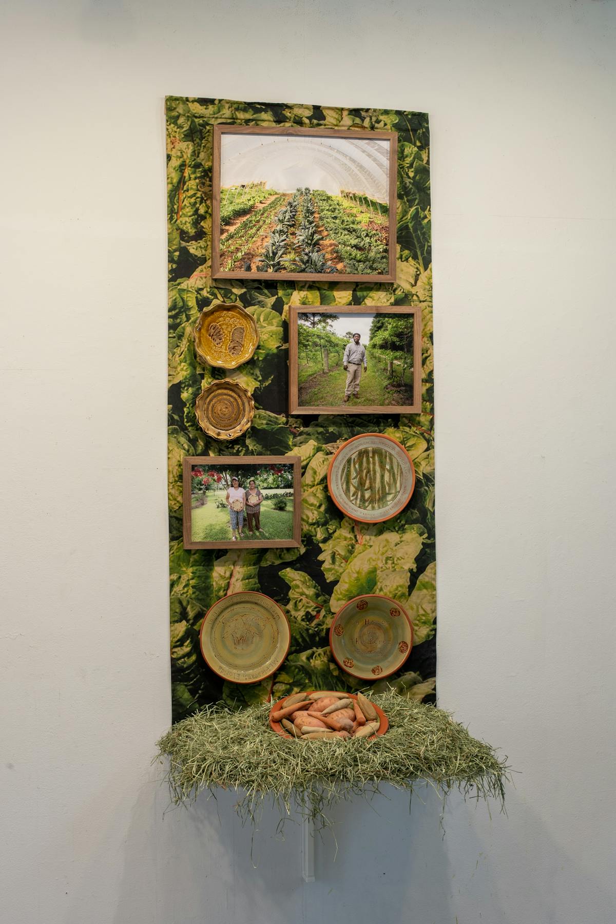 wall sculpture featuring farm photography ceramic plates hay and root vegetables