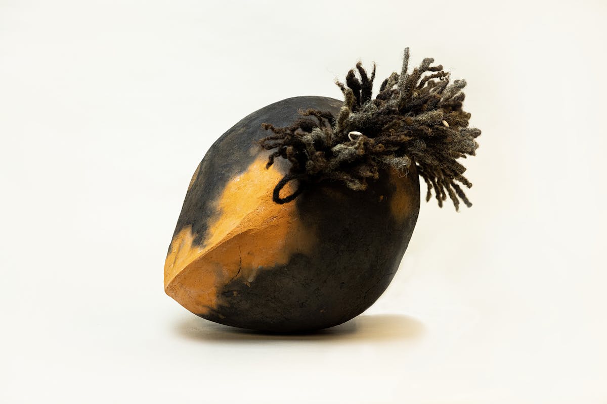 black and yellow seed shaped ceramic sculpture with locks of human hair