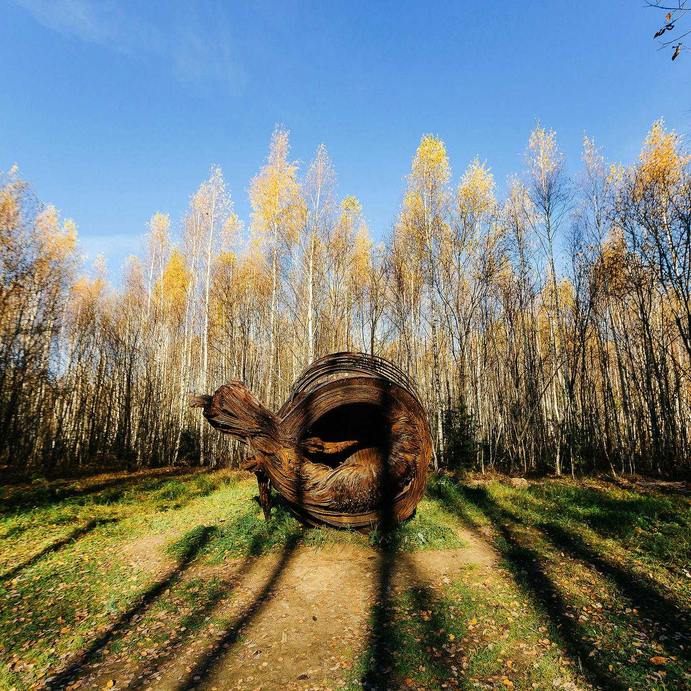 large rust colored metal sculpture featuring many twists and folds on view in park in autumn time